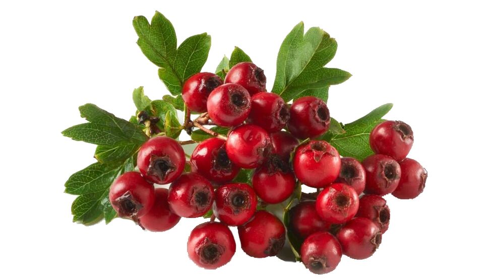 Biancospino a Tonerin