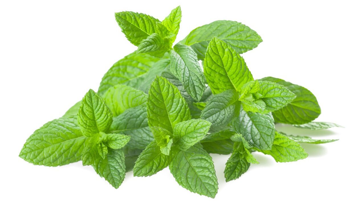 Estratto di balsamo al limone in Tonerin